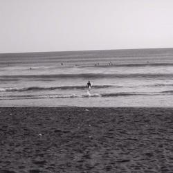 Photo: Shonan