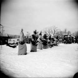 Photo: Wrapped Trees