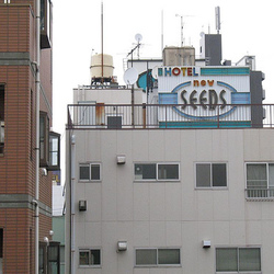 Photo: hotel new seeds